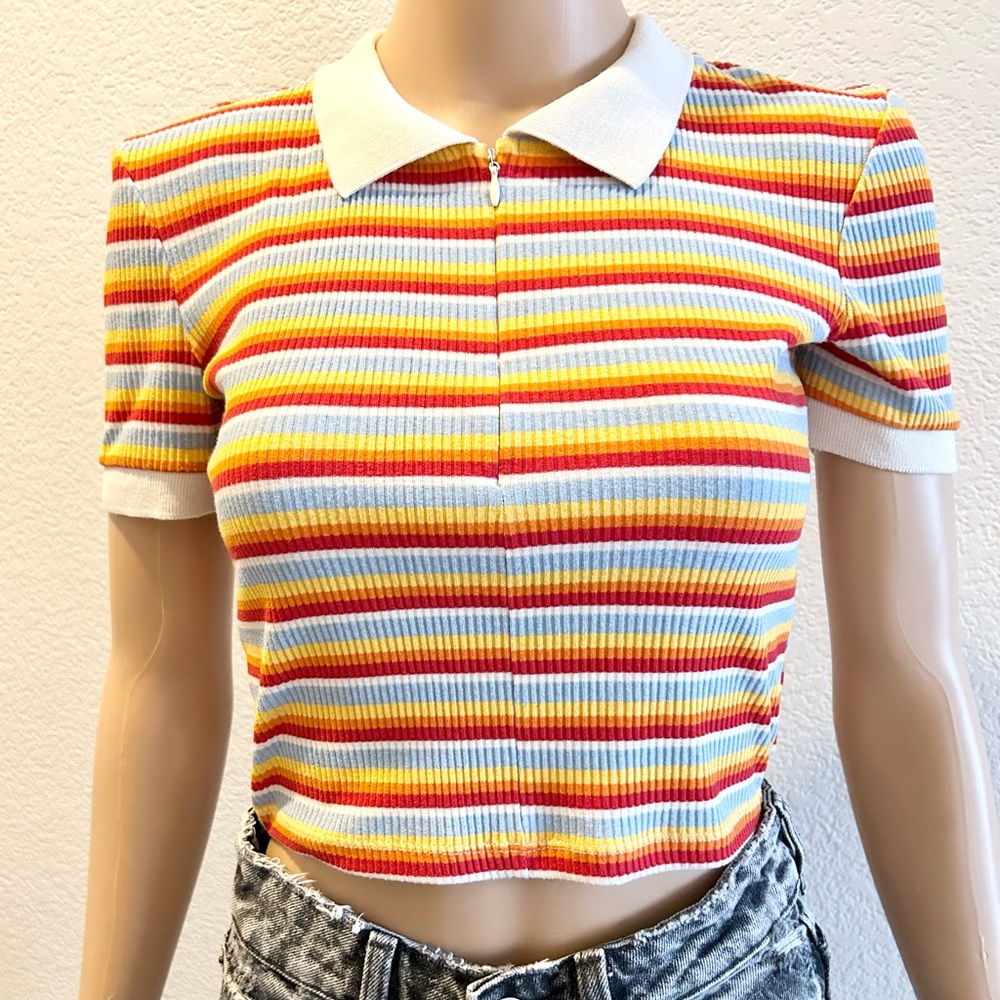 Zara Multicolor Striped Polo Crop Top (S)
